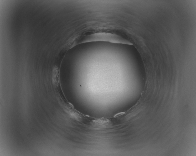 X0000073830480200608170946