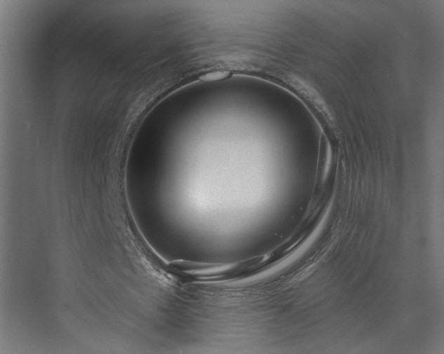 X0000073830481200608170945