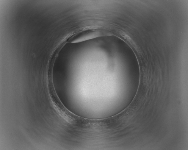 X0000073830482200608170945