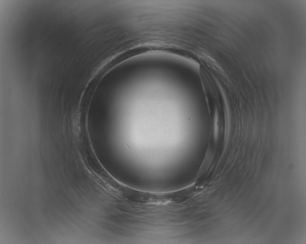 X0000073830484200608170945