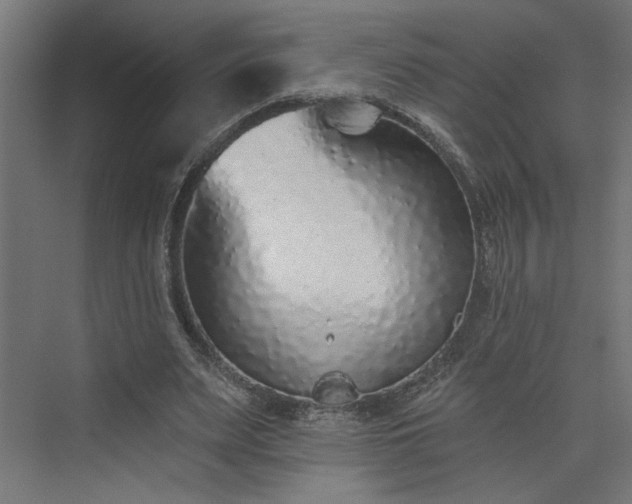 X0000073830487200608170945