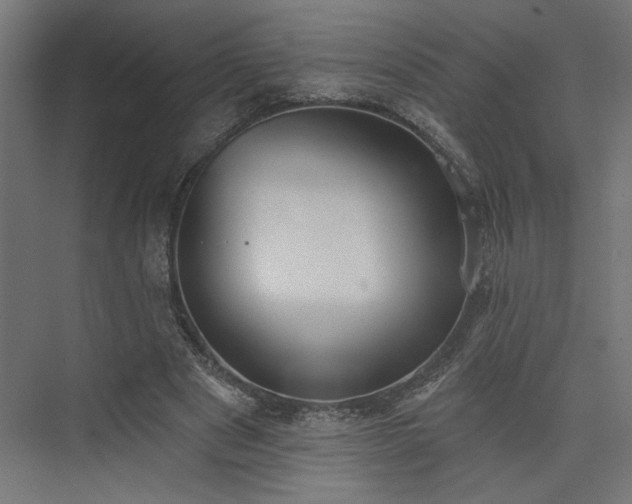 X0000073830489200608170945