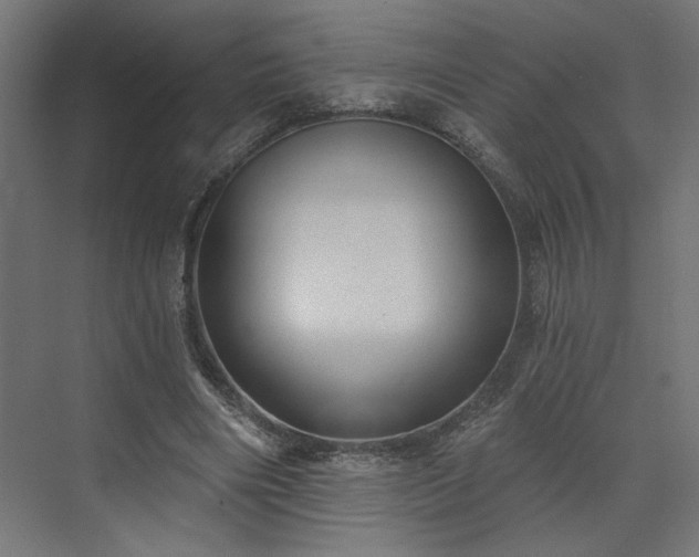 X0000073830490200608170945