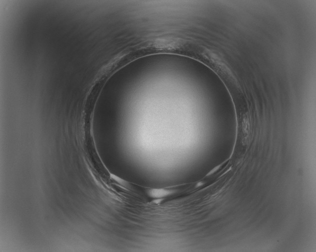 X0000073830492200608170945