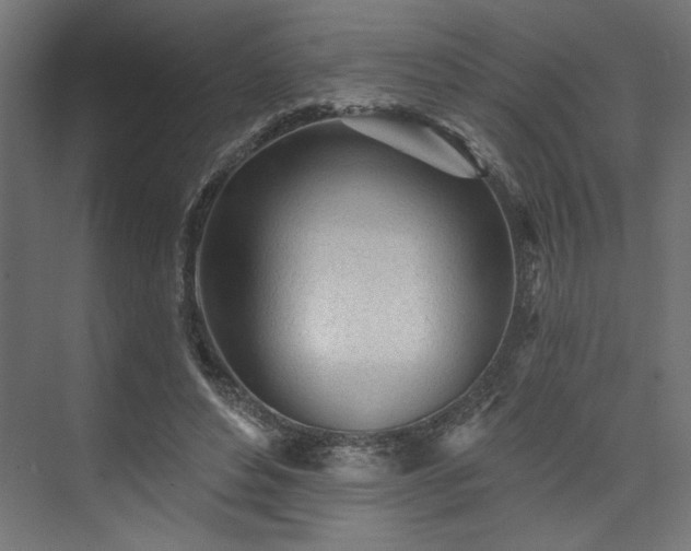 X0000073830496200608170945