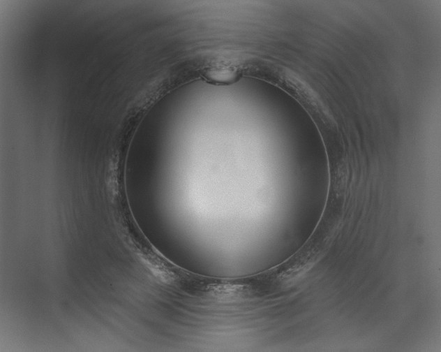 X0000073830497200608170945