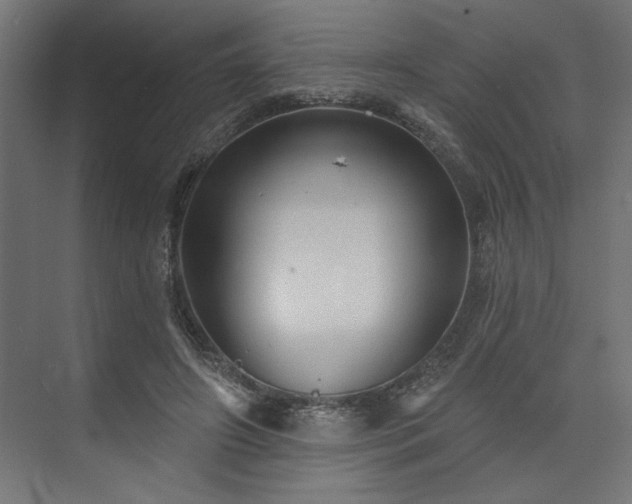 X0000073830498200608170945