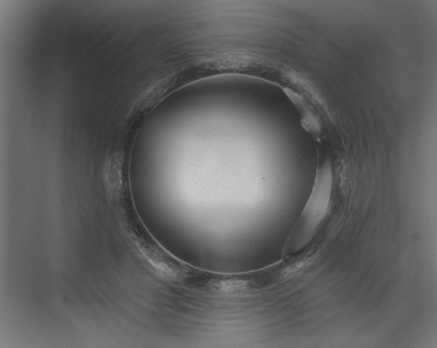 X0000073830501200608170944