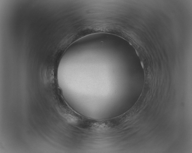 X0000073830502200608170944