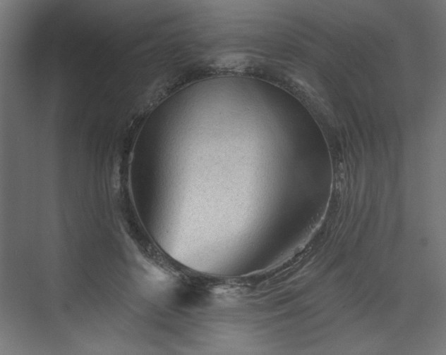 X0000073830504200608170944