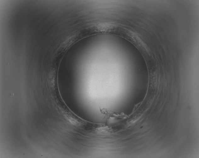 X0000073830505200608170944