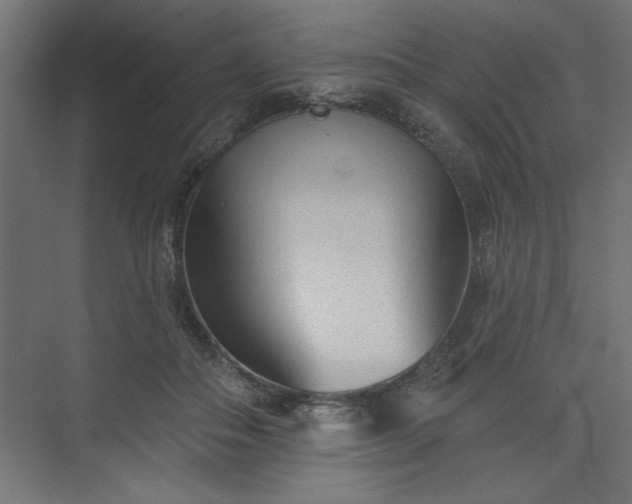 X0000073830506200608170944