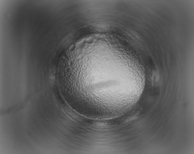 X0000073830507200608170944