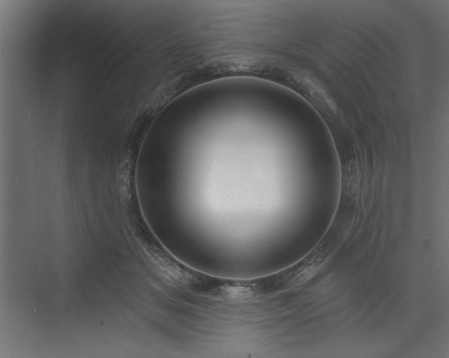 X0000073830509200608170944