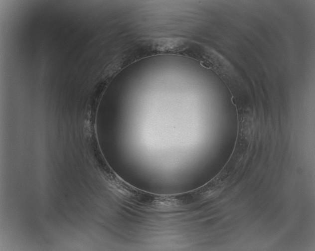 X0000073830510200608170944