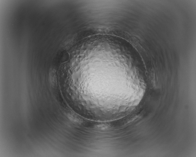 X0000073830511200608170944