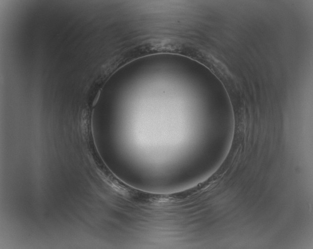 X0000073830513200608170944