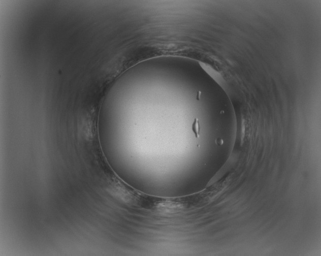 X0000073830515200608170944