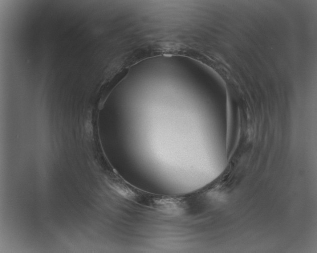 X0000073830516200608170944