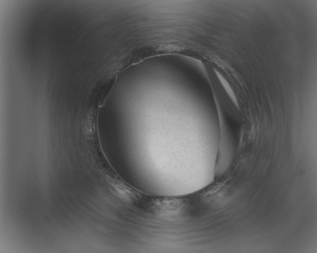 X0000073830517200608170944