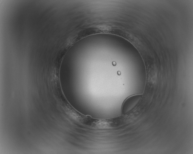 X0000073830518200608170944