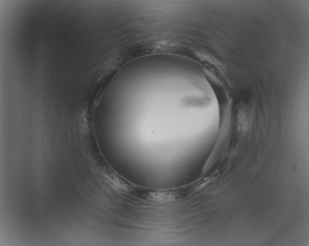 X0000073830520200608170944