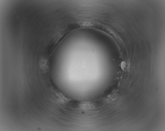 X0000073830521200608170944