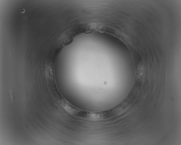 X0000073830522200608170944