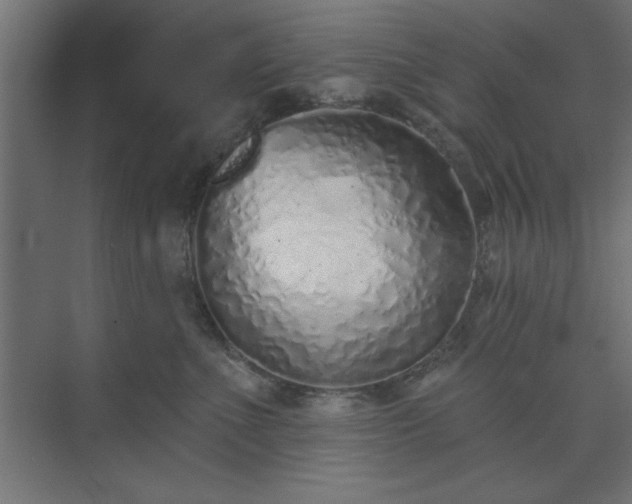 X0000073830523200608170944