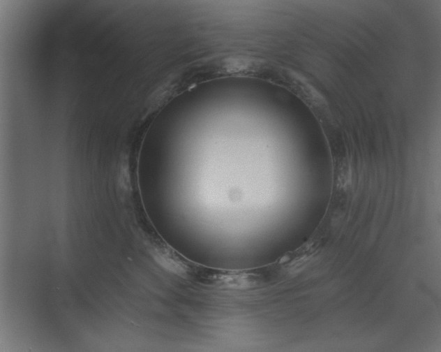 X0000073830524200608170944