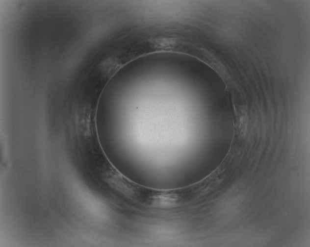 X0000073830525200608170944