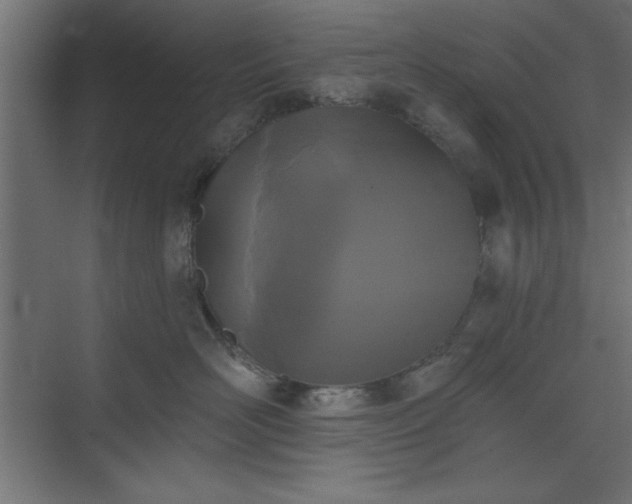 X0000073830526200608170944