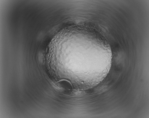 X0000073830527200608170944