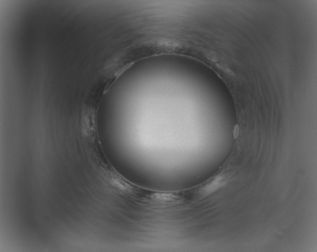 X0000073830528200608170944