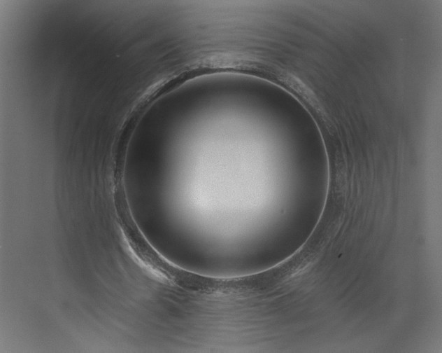 X0000073830530200608170943