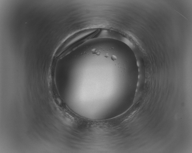 X0000073830532200608170943