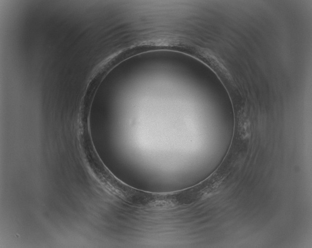 X0000073830536200608170943