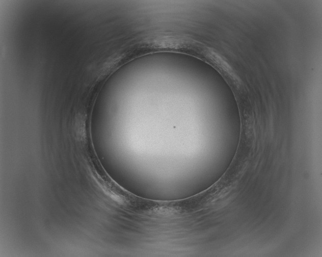 X0000073830537200608170943