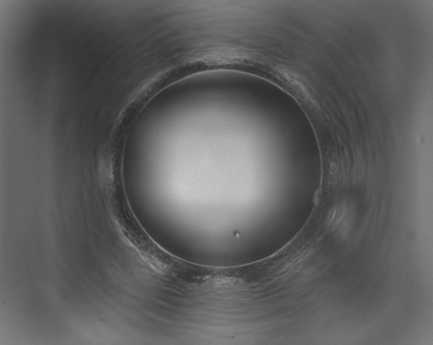 X0000073830539200608170943