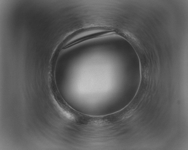 X0000073830540200608170943