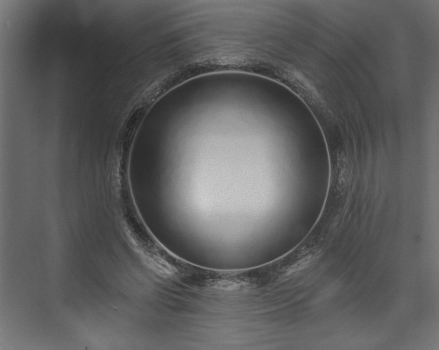 X0000073830542200608170943