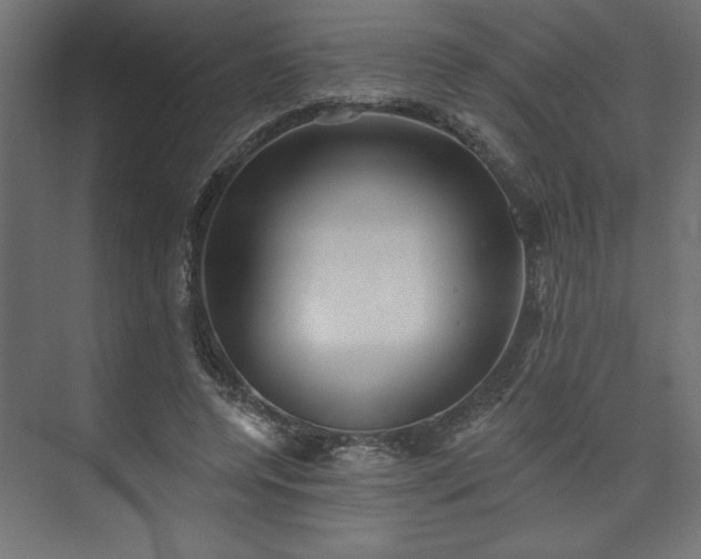 X0000073830544200608170943