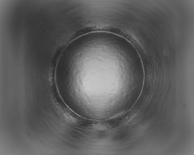 X0000073830545200608170943