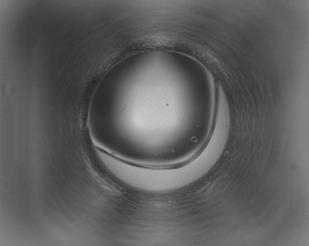 X0000073830546200608170943