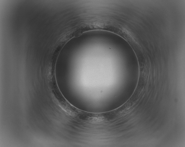 X0000073830548200608170944