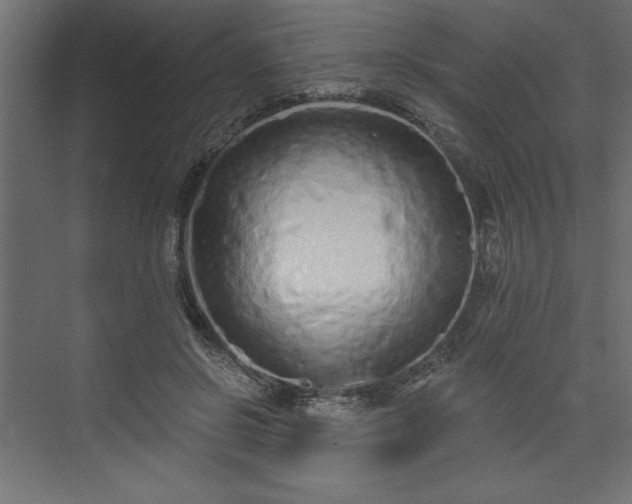 X0000073830550200608170944