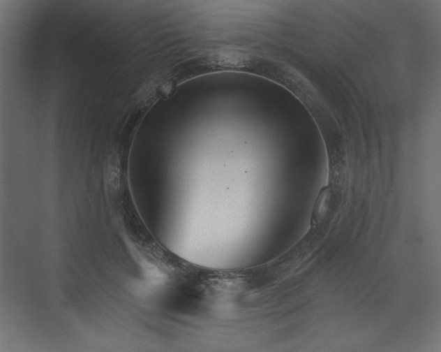 X0000073830552200608170944