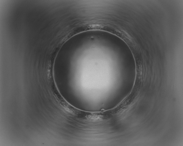 X0000073830553200608170944