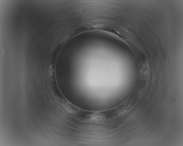 X0000073830555200608170944