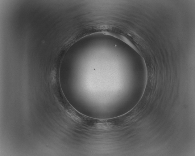 X0000073830556200608170944